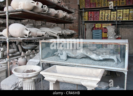 Italia: la antigua ciudad romana de Pompeya, Foro Granero área donde reliquias descubiertas incluyen yeso de víctima en una vitrina
