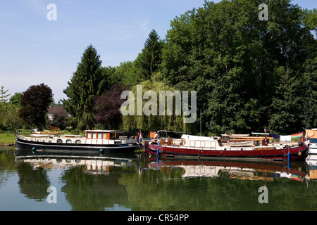 Francia, Seine et Marne, St Mammes, casas flotantes amarrados en el Canal du Loing Foto de stock