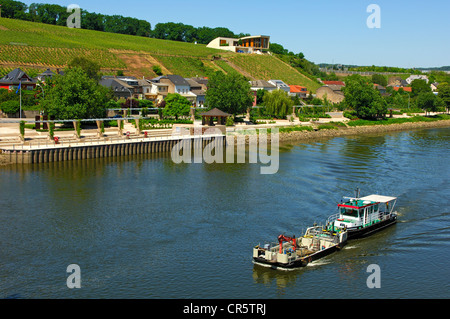 Río Mosela, con muelle y viñedos, Schengen, Luxemburgo, Europa Foto de stock