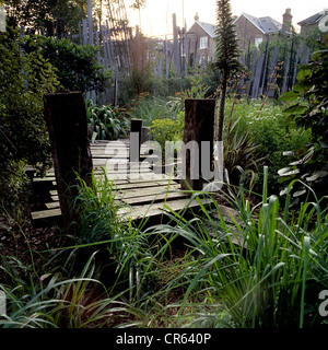 Londres Jardín plantado con yuca y bajo creciente Nueva Zelandia céspedes, jardín diseñado por James Fraser de Avantgardener, Londres Foto de stock