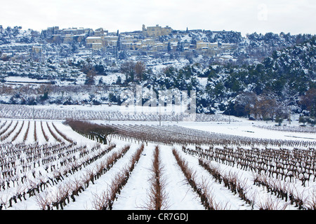 Francia, Vaucluse, Le Crestet, viñedos bajo la nieve, la AOC Cotes du Ventoux Foto de stock