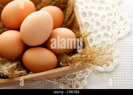 Los huevos en el recipiente de madera marrón