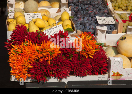 Pimientos para la venta en el mercado de Rialto, Venecia, Italia