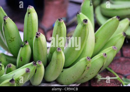 Frutos de banano (Musa balbisiana), mercado Tegallalang, Ubud, Bali, Indonesia, Asia Foto de stock