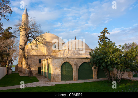 Hala Sultan Tekke o la Mezquita de Umm Haram, Larnaca, Chipre Foto de stock