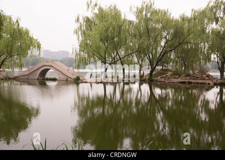 Muy temprano en la mañana en el Parque Zizhuyuan, en Beijing, China Foto de stock