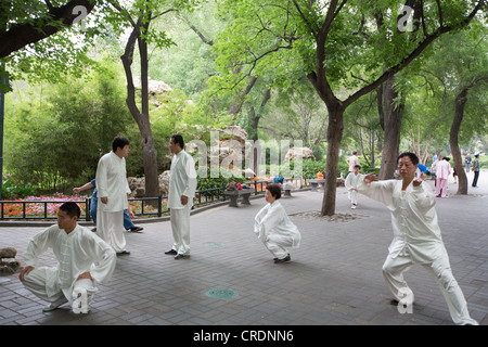 Practicando tai chi, temprano en la mañana en el Parque Zizhuyuan, en Beijing, China Foto de stock