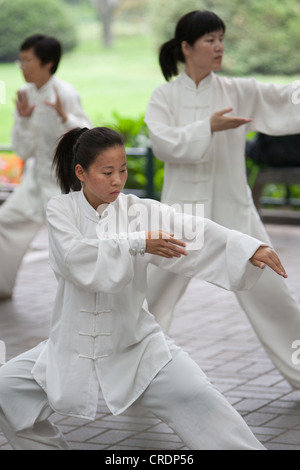 Practicando tai chi, temprano en la mañana en el Parque Zizhuyuan, en Beijing, China Foto de stock