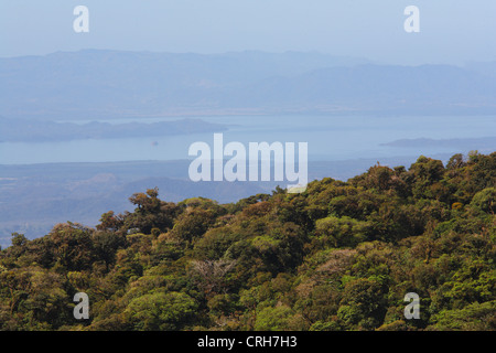 La Reserva Biológica Bosque Nuboso de Monteverde y el Golfo de Nicoya, Costa Rica. De enero de 2012. Foto de stock
