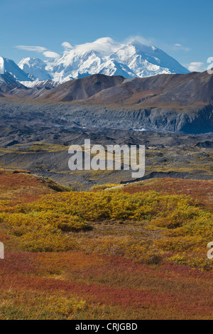 Mt. McKinley, brillantemente coloreados caen tundra junto al glaciar Muldrow, en el lado norte de Denali NP, Alaska.