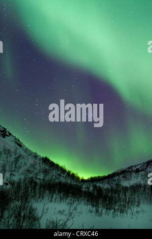 La Aurora Boreal la Aurora Boreal llenar el cielo a Kvaloya en el Círculo Polar Ártico cerca de Tromso, Noruega septentrional