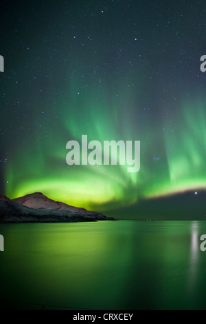 La Aurora Boreal la Aurora Boreal llenar el cielo a Kvaloya en el Círculo Polar Ártico cerca de Tromso, Noruega septentrional