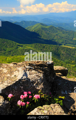 Vista desde Grassy Ridge, Roan Mountain, Tennessee / Carolina del Norte, EE.UU. Foto de stock