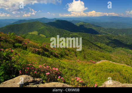 Vista desde Grassy Ridge, Roan Mountain, Tennessee / Carolina del Norte, EE.UU. Foto de stock