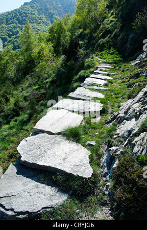 Piedra sendero pavimentado de boulder (cerca de la aldea de mergoscia) - cantón de Ticino - Suiza Foto de stock