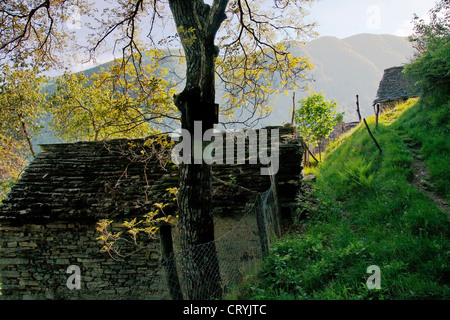 Las conejeras de piedra (cerca de la aldea de mergoscia) - cantón de Ticino - Suiza Foto de stock