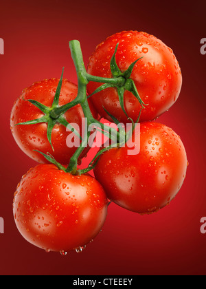 Fresh jugosos tomates apetitosos sobre el vino rociado con agua. Los tomates de clúster.