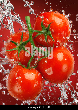 Clúster jugosos tomates frescos, tomates en la vid en un big splash de agua