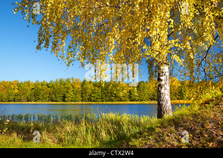 Suwalki, CZARNA HANCZA Landscape Park Lake, de Polonia, de Europa