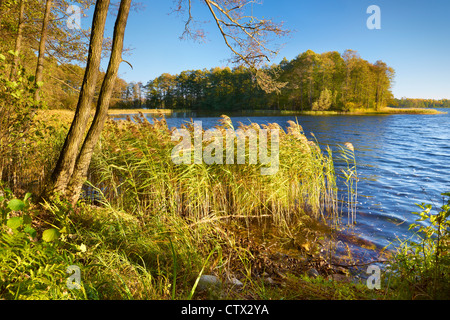 Suwalki, CZARNA HANCZA Landscape Park Lake, de Polonia, de Europa