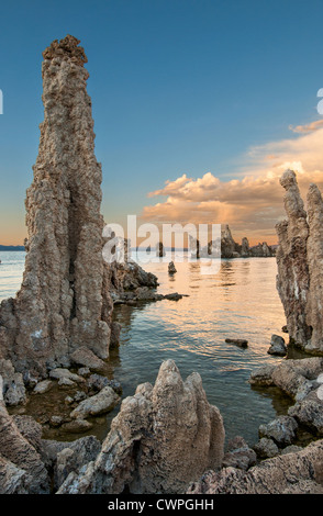 Hermosa vista de las extrañas torres de tufa del Lago Mono. Foto de stock
