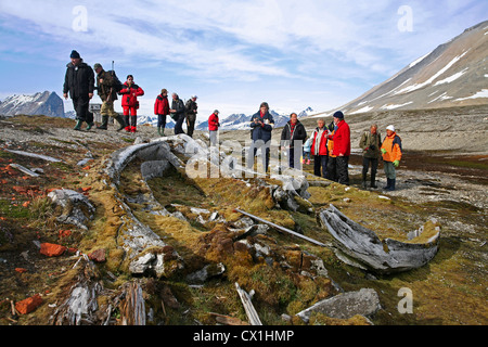 Los turistas con guía armado en excursión mirando viejos de huesos de ballena cubierto de musgo en el Hornsund, Svalbard, Spitsbergen