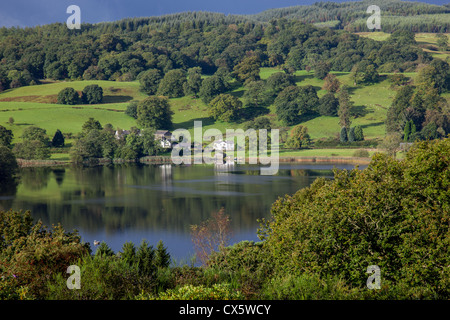 Plegar la compuerta y bosque Grizedale reflejado en Esthwaite agua, cerca de Hawkshead, Lake District, Cumbria Foto de stock