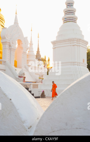 Monje budista caminando alrededor del Templo Wat Suan Dok en Chiang Mai, Tailandia, en el sudeste de Asia, Asia