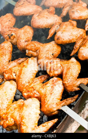 enjuague Anémona de mar nostalgia Cocinar alitas de pollo a la parrilla en el bosque Fotografía de stock -  Alamy