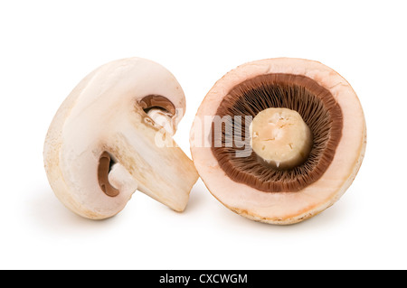 Las dos mitades del hongo champignon, aislado sobre fondo blanco.