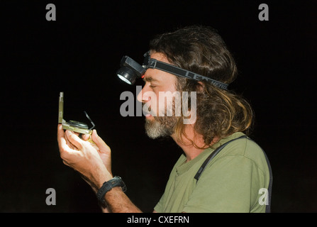El biólogo Arnaud Desbiez tracking armadillos gigantes, el Pantanal, Brasil Foto de stock