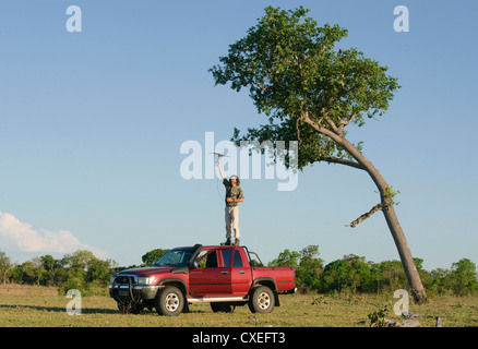 El biólogo Arnaud Desbiez tracking armadillos gigantes, el Pantanal, Brasil Foto de stock