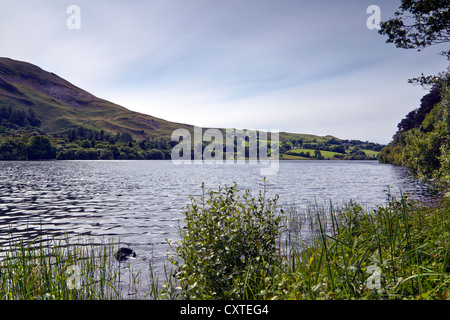 Loweswater en el Lake District National Park, Cumbria Foto de stock