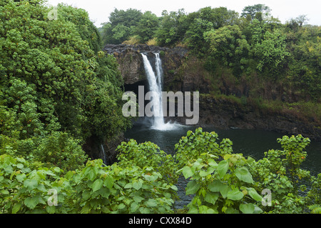 Elk284-2153, Isla Grande de Hawaii, Hilo, Rainbow Falls Foto de stock