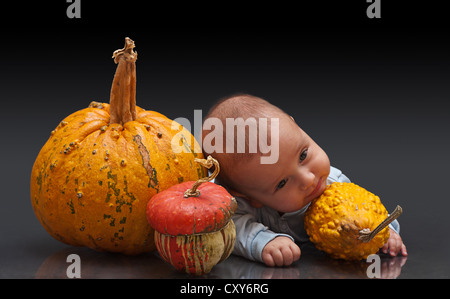 Cute little baby con diferentes tipos de calabazas en foto de estudio Foto de stock
