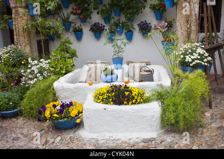 Tradicional patio andaluz lleno de plantas y flores y lugar para lavar la junta en Córdoba, España Foto de stock