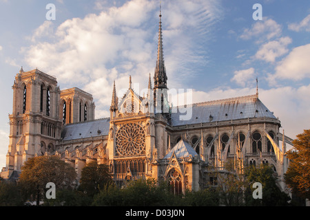 La catedral de Notre Dame de París; La Cathédrale Notre Dame de Paris Foto de stock