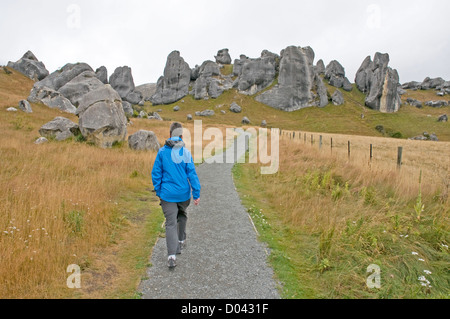 Raro afloramientos rocosos de piedra caliza en la colina del castillo en la Isla del Sur de Nueva Zelanda Foto de stock