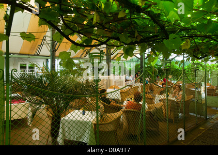 Österreich, Wien I, Stephansplatz 4, Gastgarten des Teehauses Haas & Haas, Foto de stock