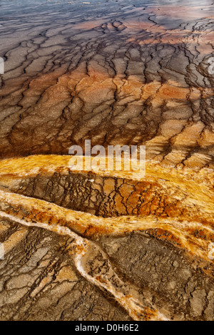 Mat bacteriana - Cuenca del Géiser de Midway Foto de stock
