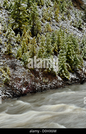 Primavera fresca nieve sobre el terreno alrededor de Lolo Creek, cerca de Lolo, Montana, EE.UU.