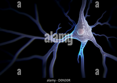 Las neuronas piramidales o las células piramidales son del tipo neurona encontrada en el cerebro, incluyendo regiones como la corteza cerebral, hipocampo Foto de stock