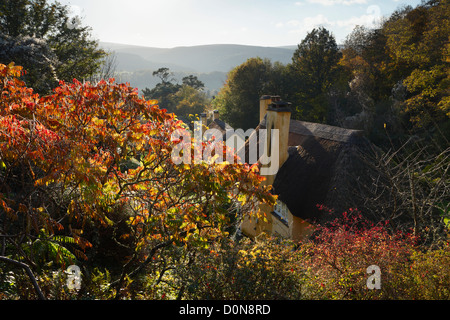 Aldea Selworthy en otoño en el Holnicote Estate. Exmoor National Park, Somerset, Reino Unido. Foto de stock