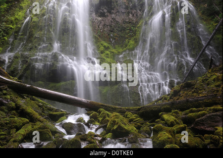 Flujo en cascada, Cascada, Proxy Falls, la cascada, las montañas, el Bosque Nacional de Willamette, cascada, Oregon, USA, Estados Unidos, Am