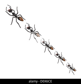 Línea de hormigas de juguete Foto de stock