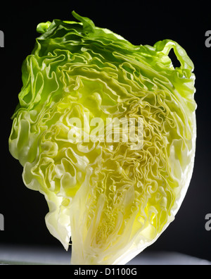 Detalle de lechuga vertical