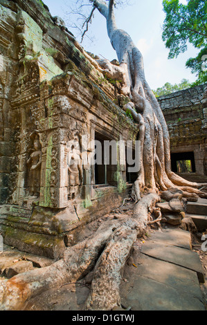 Angkor, sitio del Patrimonio Mundial de la UNESCO, Siem Reap, Camboya, en Indochina, en el sudeste de Asia, Asia Foto de stock