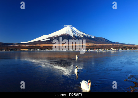 Monte Fuji reflejado en el lago Yamanaka, prefectura de Yamanashi Foto de stock