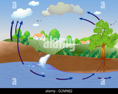 Ilustración que muestra el ciclo del agua Foto de stock