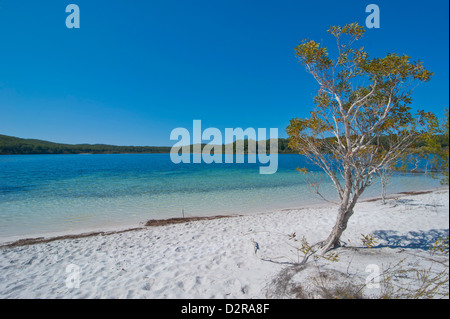 Lago McKenzie, La Isla Fraser, Sitio del Patrimonio Mundial de la UNESCO, Queensland, Australia, el Pacífico